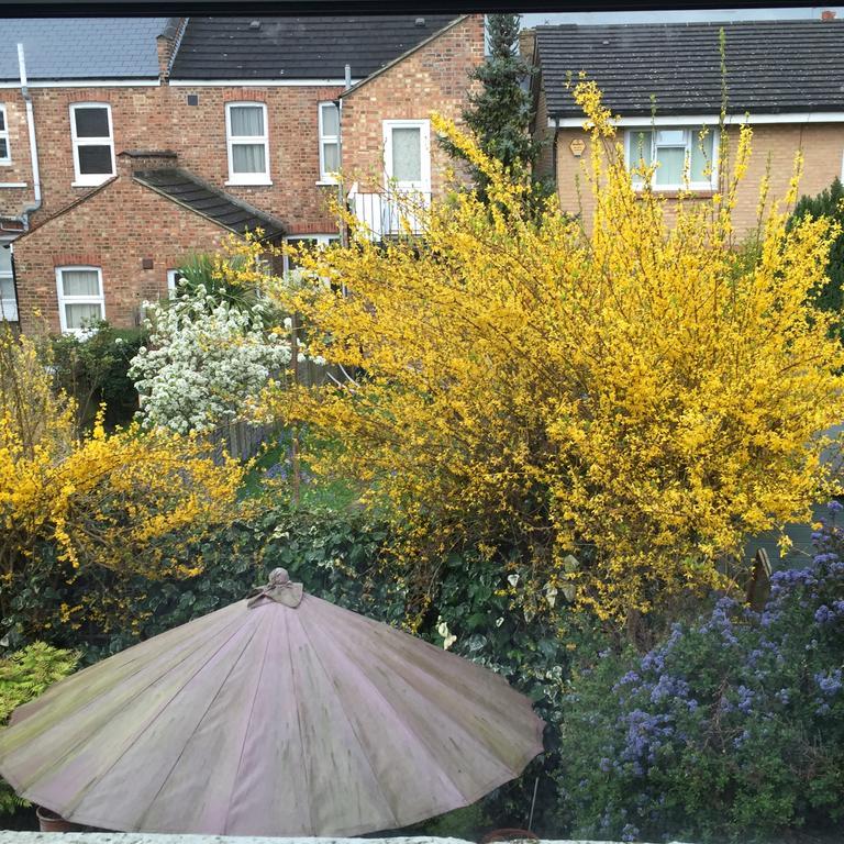 Catford Homestay Londra Dış mekan fotoğraf